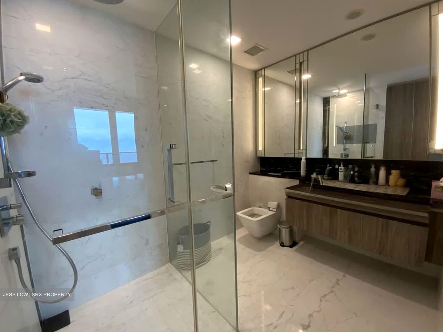 Wallich Residence  (D2), Condominium #560814101